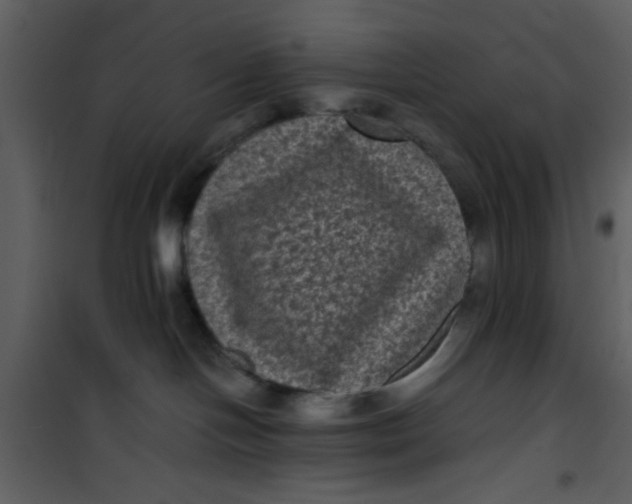 X0000101140094200807181305