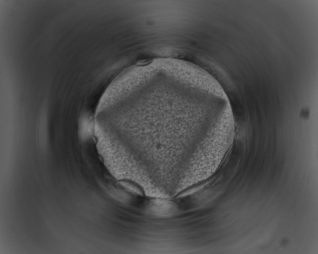 X0000101140095200807181305