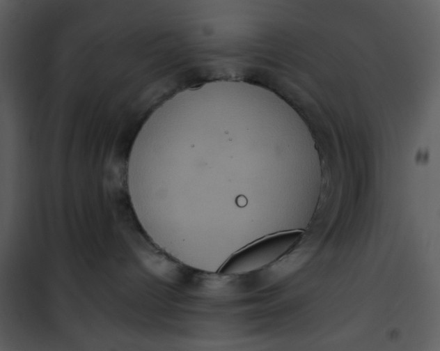 X0000101140096200807181305