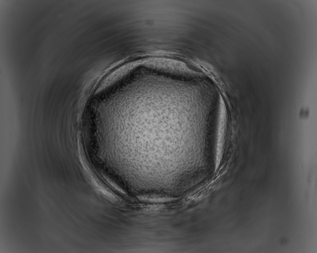 X0000101140097200807181304