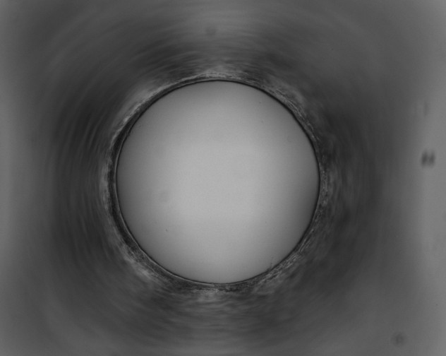 X0000101140098200807181304