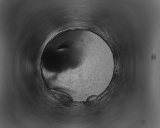 X0000101140099200807181304