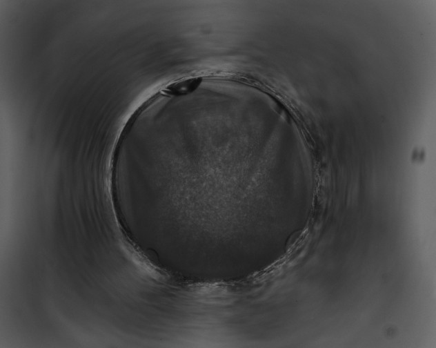 X0000101140100200807181304