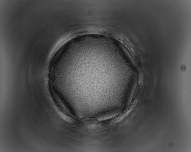 X0000101140101200807181304