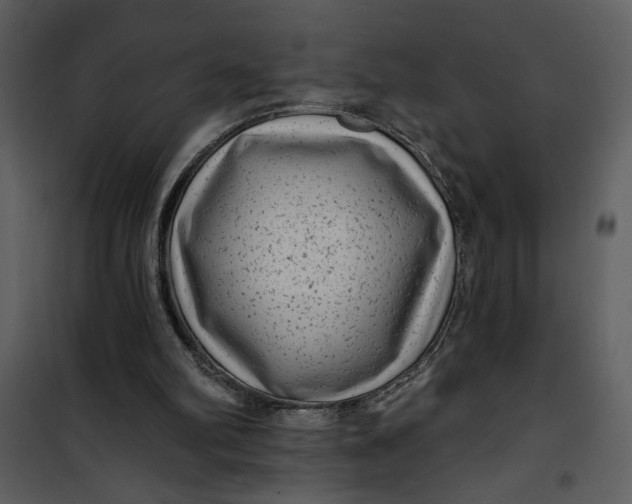 X0000101140102200807181304