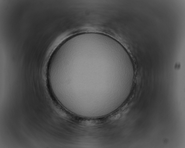 X0000101140103200807181304