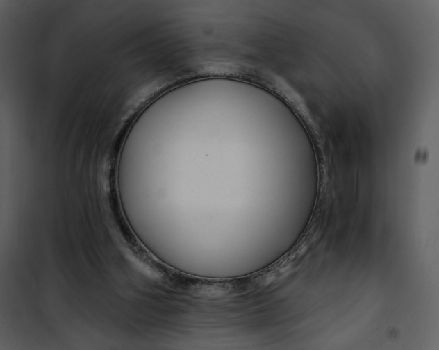 X0000101140106200807181304