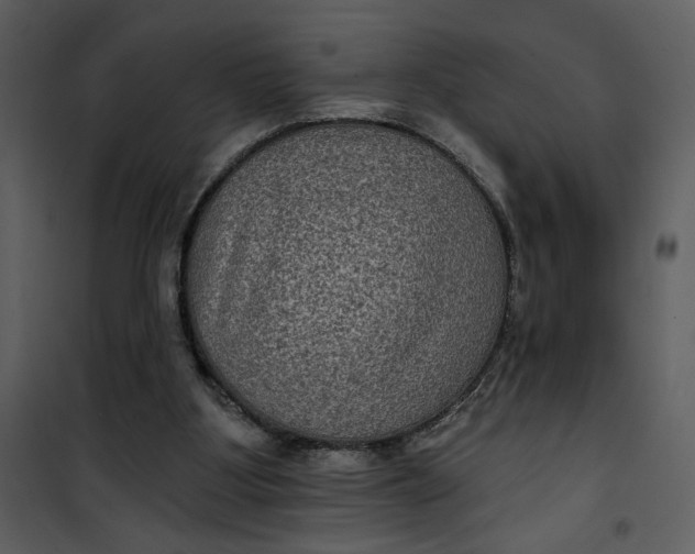 X0000101140107200807181304