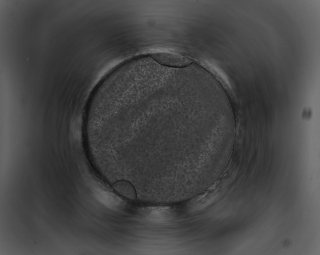 X0000101140108200807181304