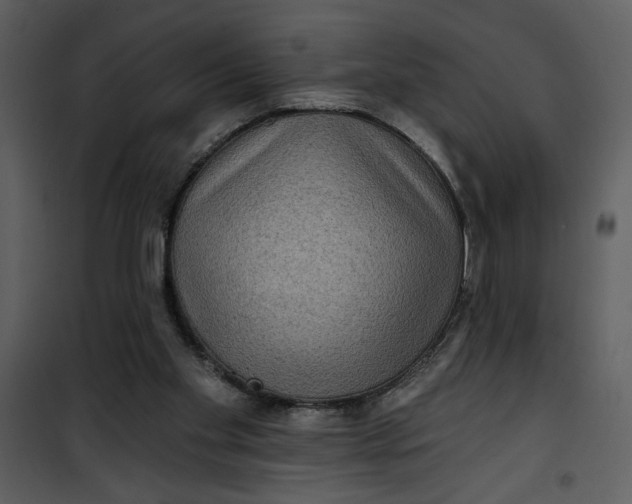 X0000101140109200807181304