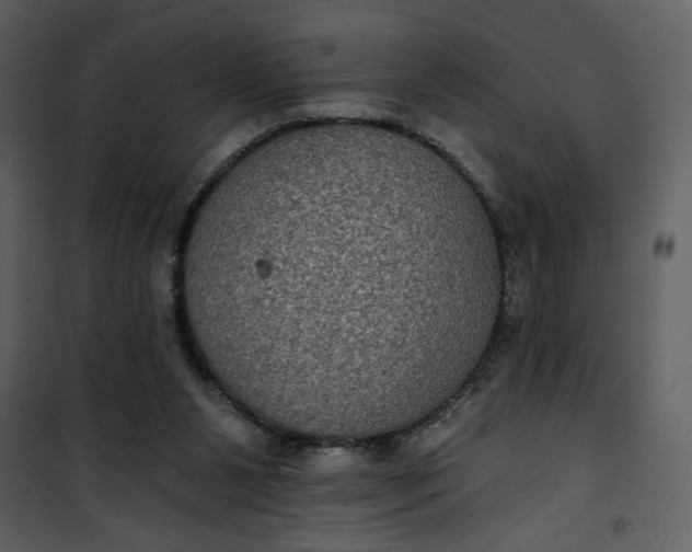 X0000101140111200807181304