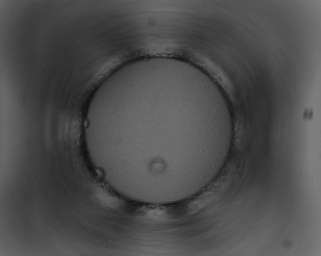 X0000101140113200807181304