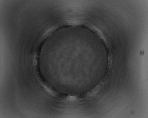 X0000101140114200807181304