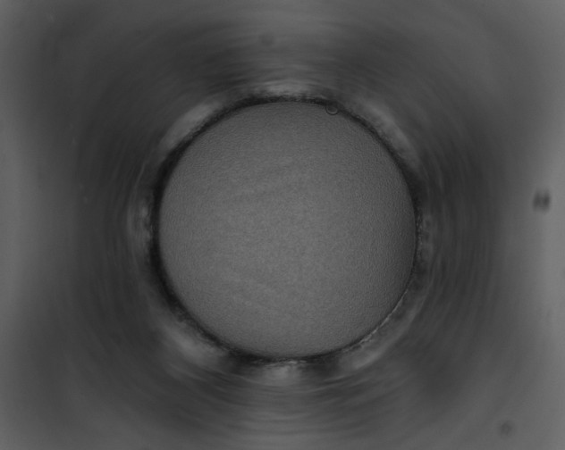 X0000101140116200807181304