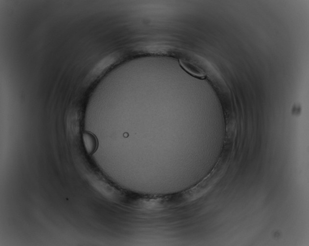 X0000101140120200807181304