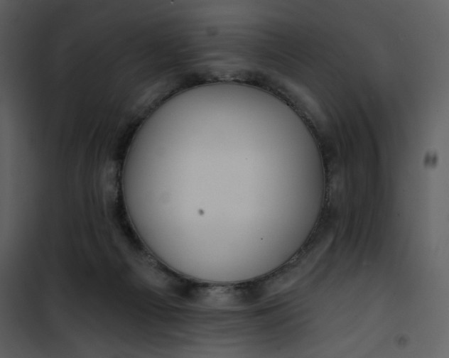 X0000101140121200807181304