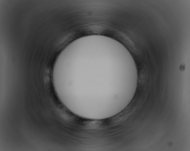 X0000101140122200807181304