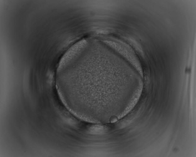 X0000101140123200807181304