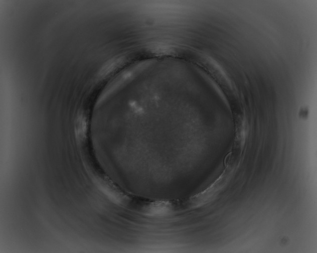 X0000101140124200807181304