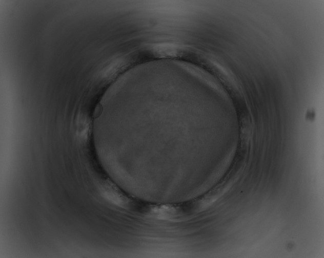 X0000101140125200807181304