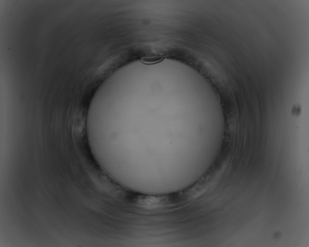 X0000101140129200807181304