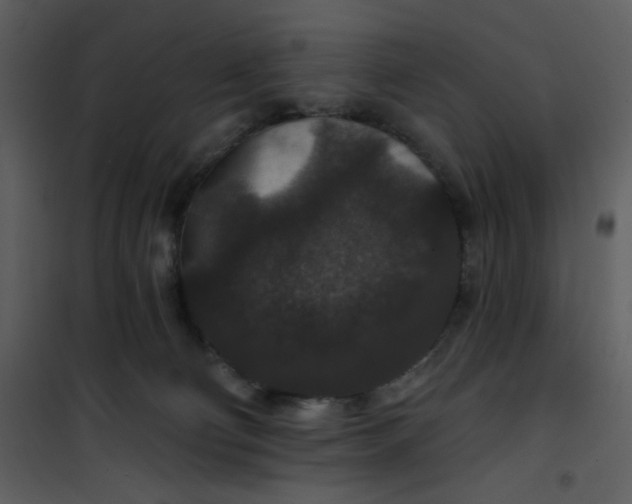 X0000101140130200807181304