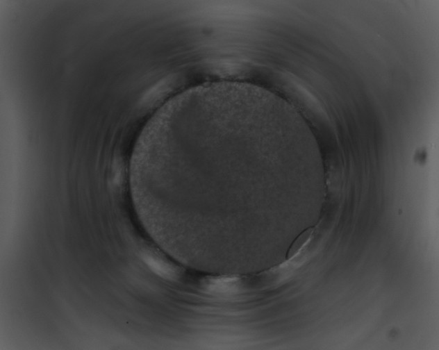 X0000101140132200807181304