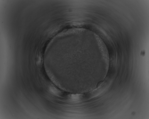 X0000101140134200807181304