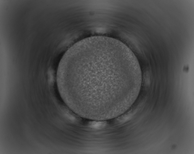 X0000101140135200807181303