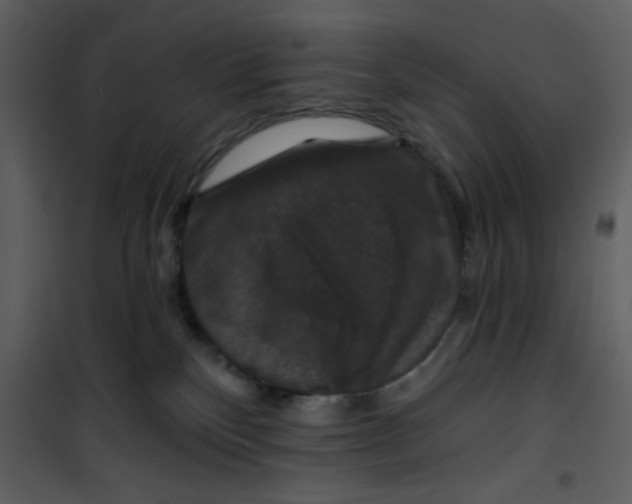 X0000101140136200807181303