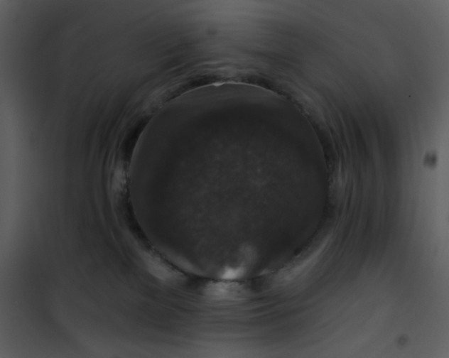 X0000101140137200807181303