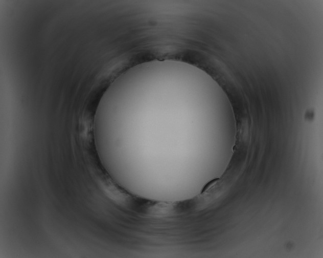 X0000101140138200807181303