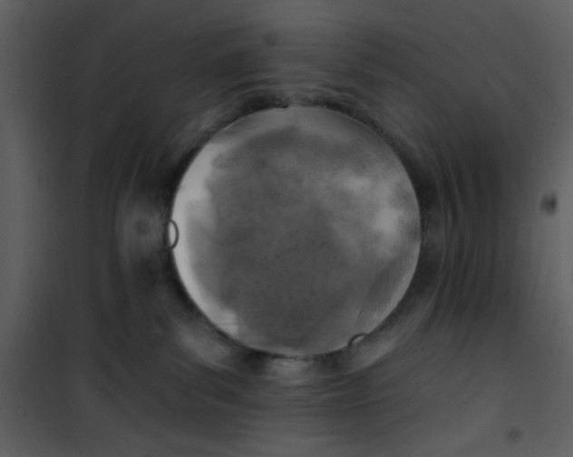 X0000101140139200807181303