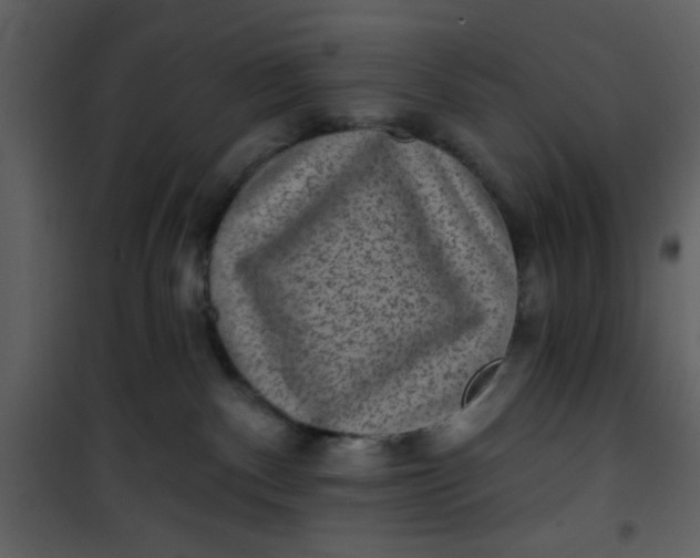 X0000101140140200807181303