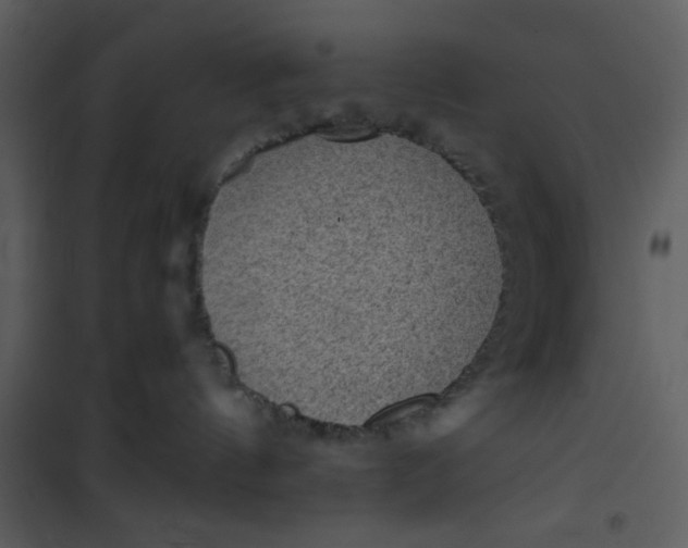 X0000101140144200807181303