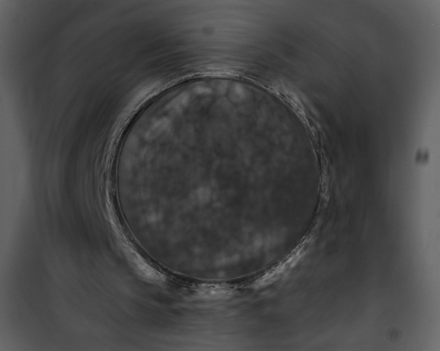 X0000101140145200807181303