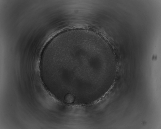 X0000101140146200807181303