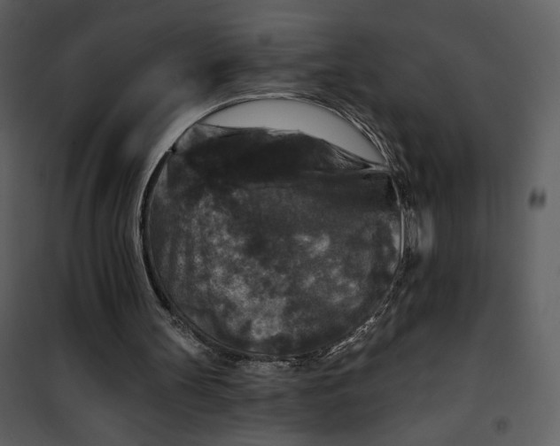 X0000101140147200807181303