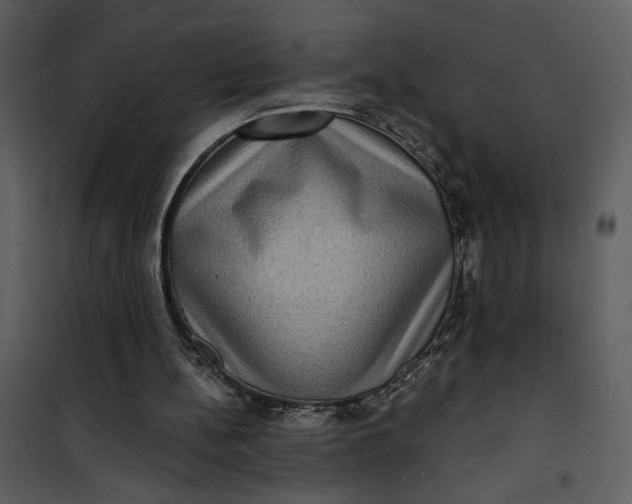 X0000101140148200807181303