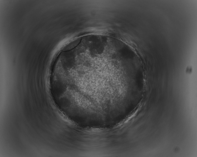 X0000101140149200807181303