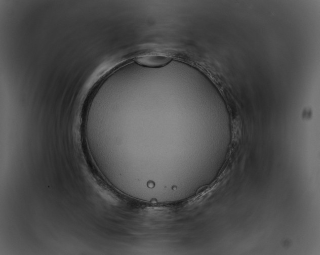 X0000101140150200807181303