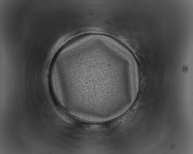 X0000101140151200807181303