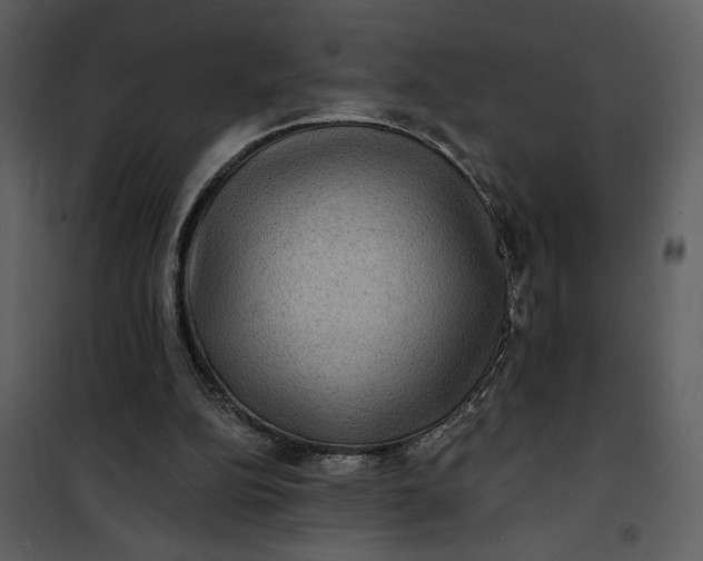 X0000101140152200807181303