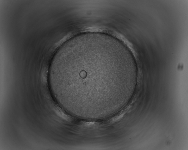 X0000101140153200807181303