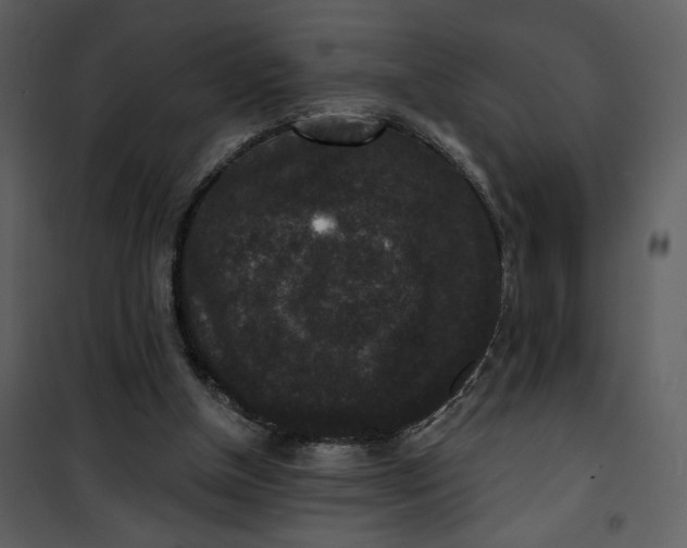 X0000101140154200807181303