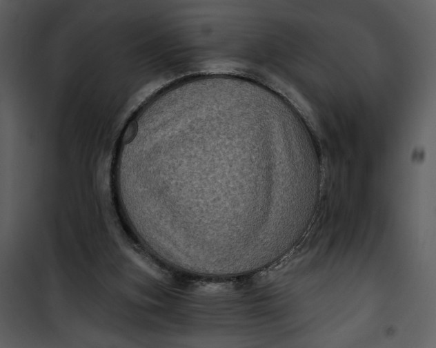 X0000101140155200807181303