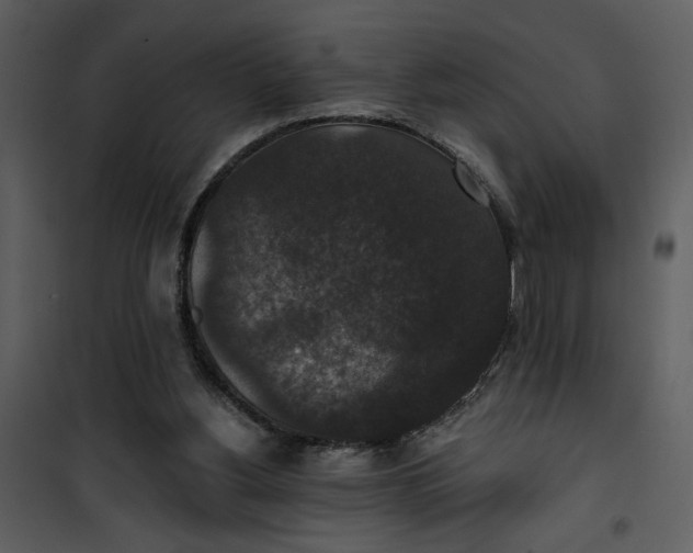 X0000101140156200807181303