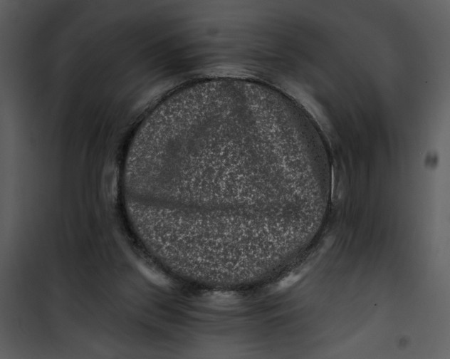 X0000101140157200807181303