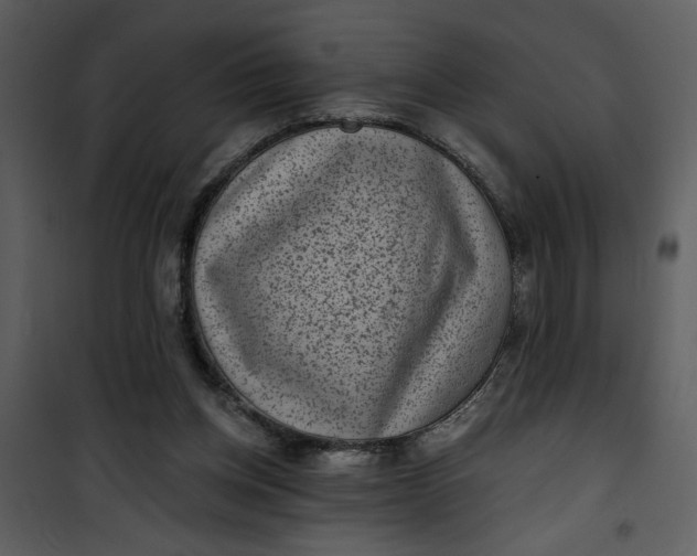 X0000101140158200807181303