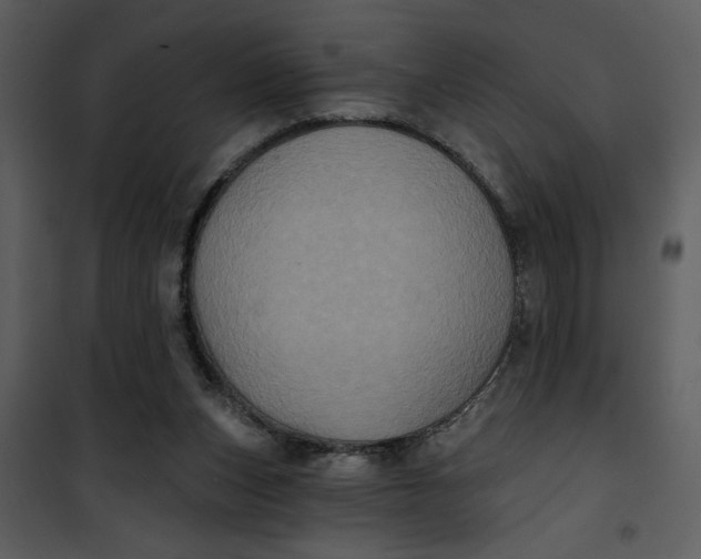 X0000101140159200807181303